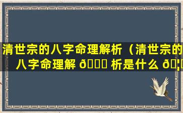 清世宗的八字命理解析（清世宗的八字命理解 🐟 析是什么 🦊 ）